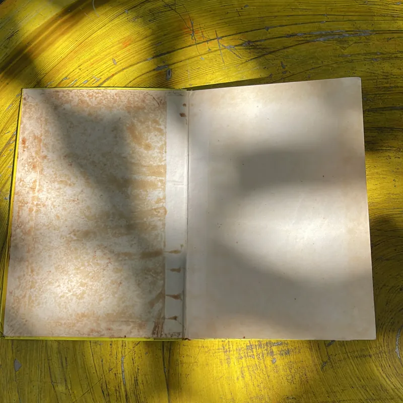 CÁC VỊ ĐỆ NHẤT PHU NHÂN HOA KỲ 735819