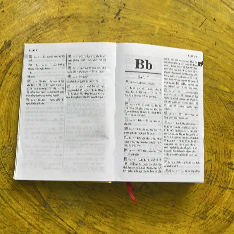 TỪ ĐIỂN HÁN - VIỆT HIỆN ĐẠI - QUANG HÙNG - TRẦN THỊ MINH NGUYỆT 700701