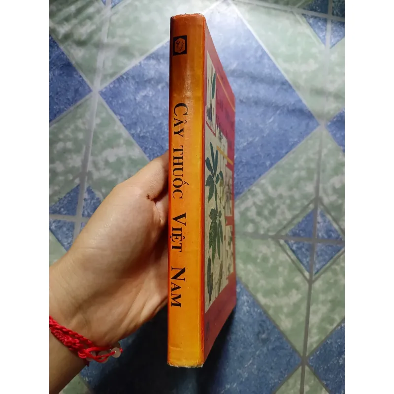 Cây thuốc Việt Nam - Viện dược liệu 1006248