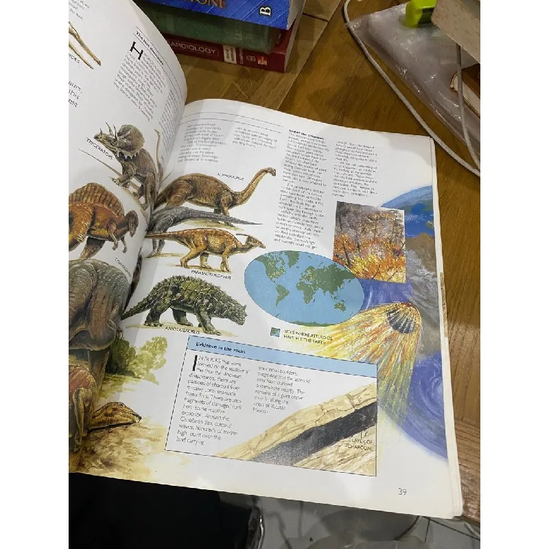 Prehistory and the Dinosaurs - Robert Muir Wood 560832