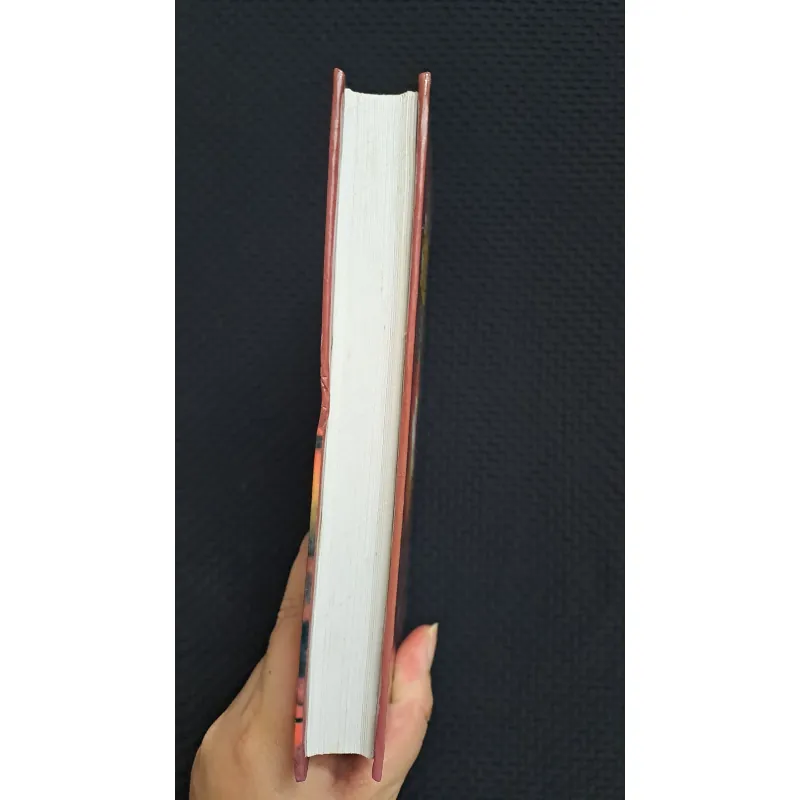 Bầu trời sụp đổ - Sidney Sheldon (bìa cứng) 1027163