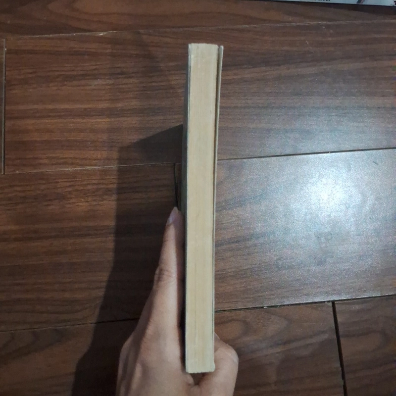 Hôn nhân trong tương lai 530261