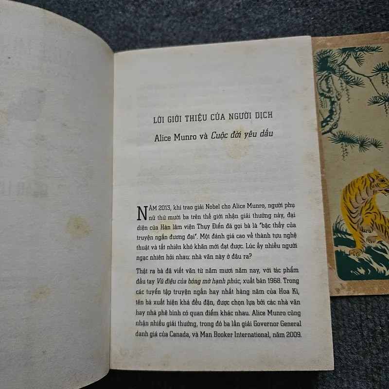 Cuộc đời yêu dấu - Alice Munro 733924
