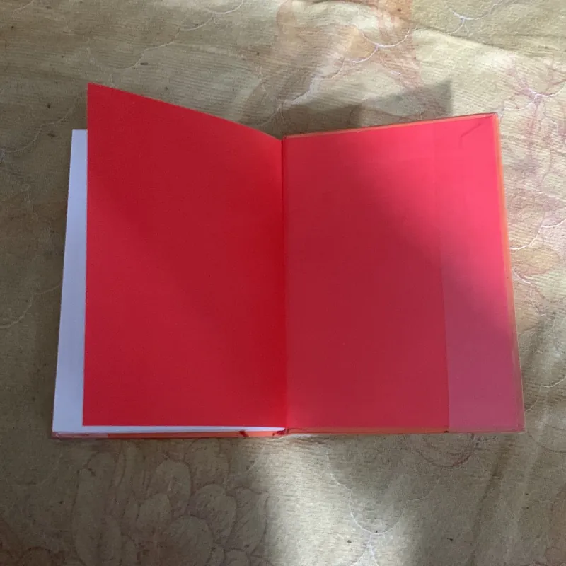 KHÔNG GIA ĐÌNH- HECTOR MALOT  753094