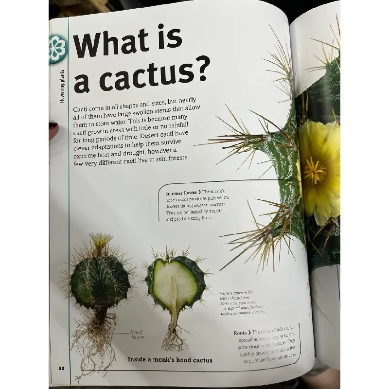 Trees , leaves , flower , seeds - Smithsonian 720544