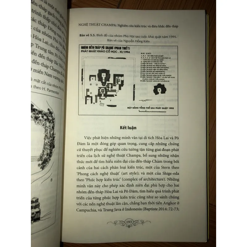 Nghệ thuật Chăm Pa - Nghiên cứu kiến trúc và điêu khắc đền-tháp 642594