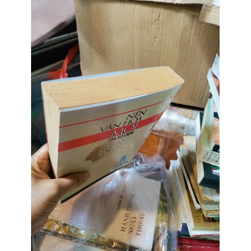 Nền văn hoá mới của Việt Nam 466583