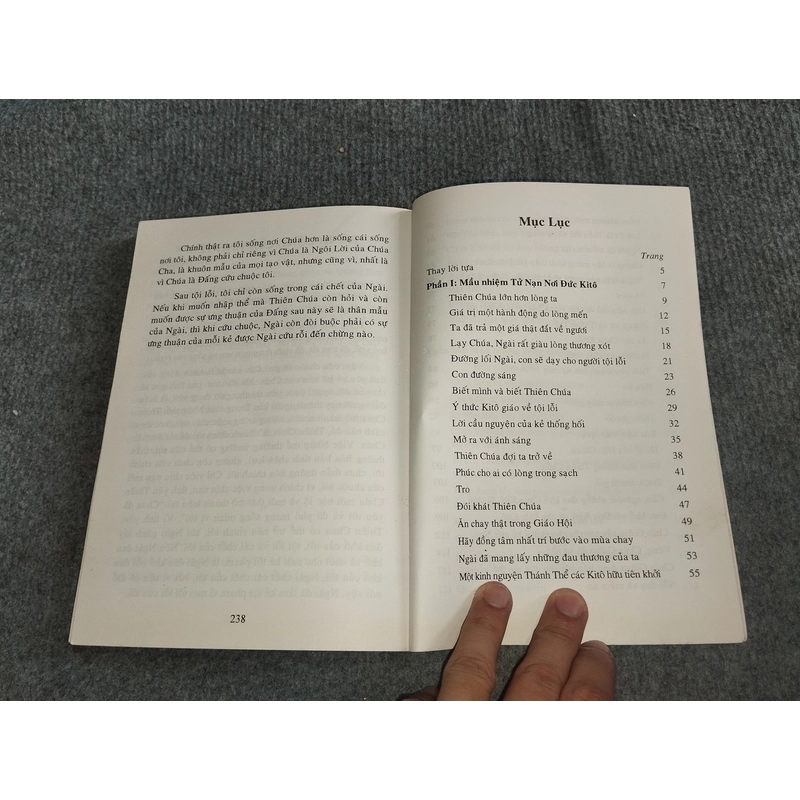 MỞ RA VỚI ÁNH SÁNG 517729