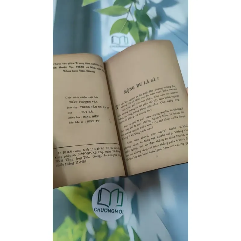 [XƯA] Mộng Du - Huyền Thoại & Hiện Thực (1988) - Phạm Hổ 776011