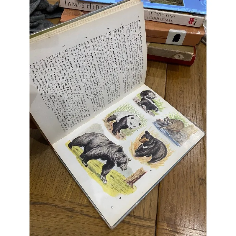 Animaux Exotiques 560699