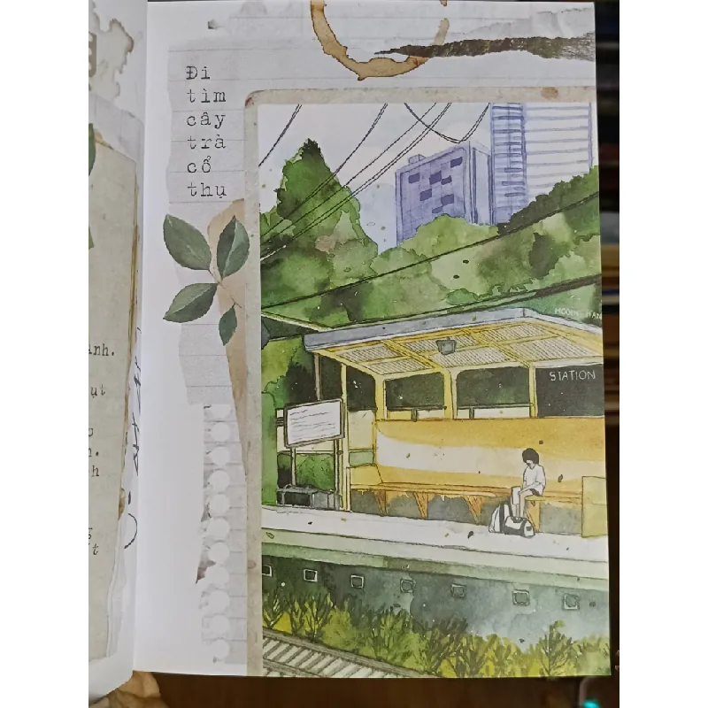 Đi qua ngàn dặm xanh - Thục Quân & Hằng Trần 596033