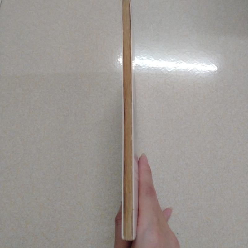 Tập thơ văn Mây trắng - kỉ niệm 10 năm thành lập trường chuyên Trần Phú Hải Phòng 501818