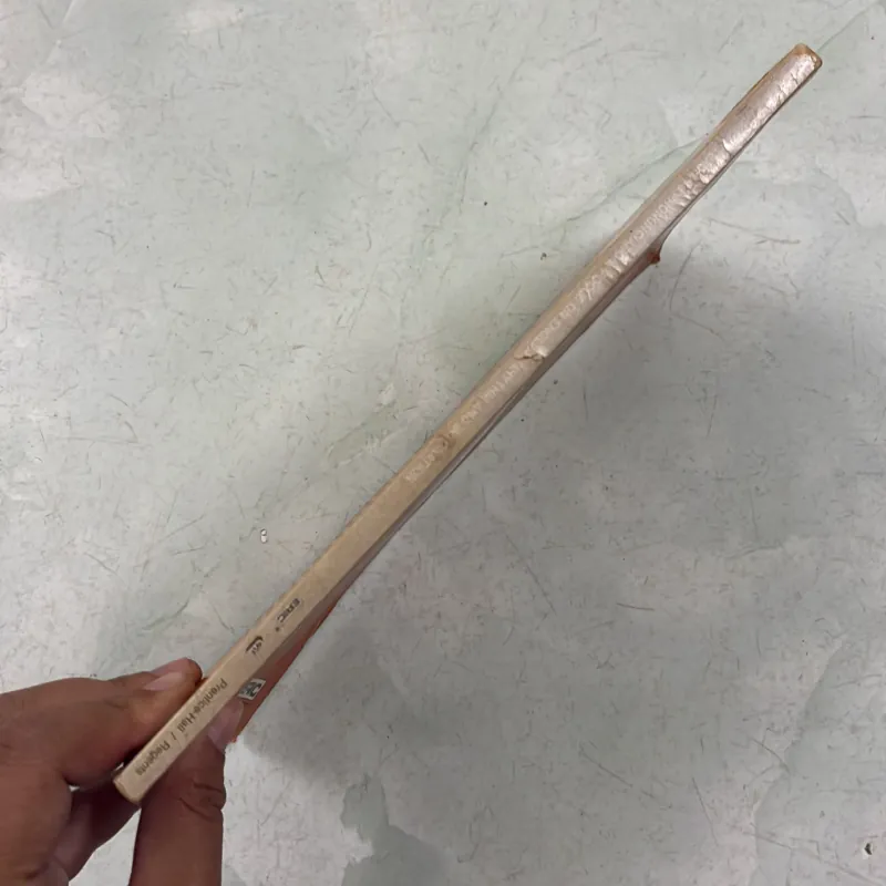 Teaching Pronunciation On focus on english rhythm and intonation 977221