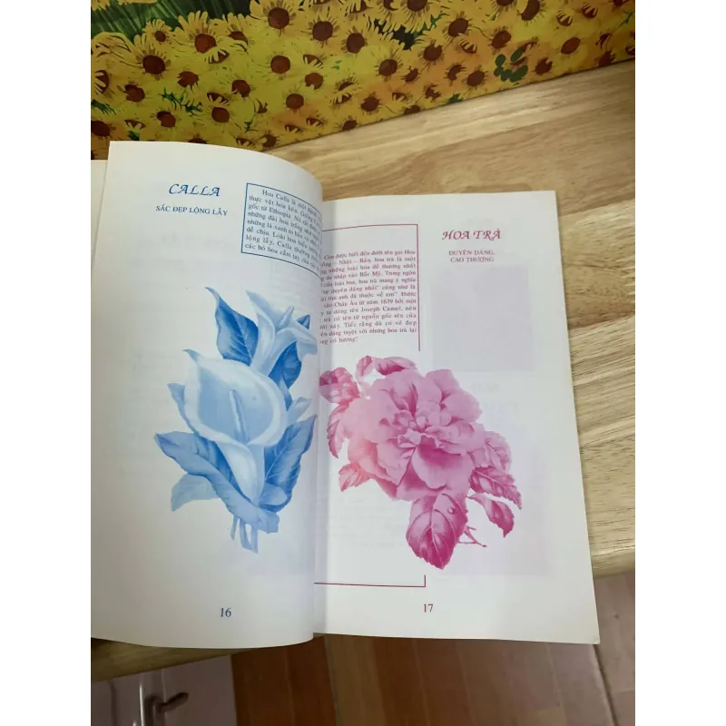 Ngôn Ngữ Của Loài Hoa - Nguyễn Bích Nhã - Châu Nhiên Khanh 754783