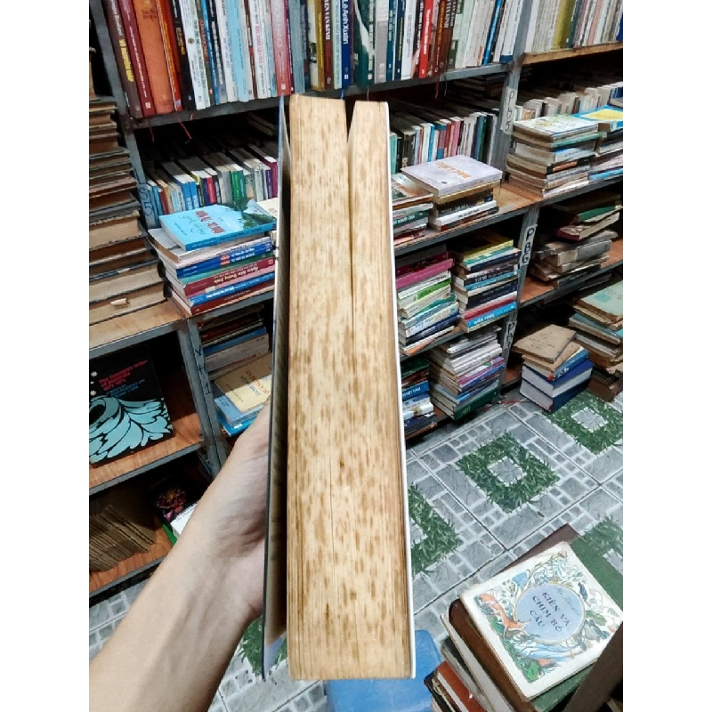Nữ hoàng và kẻ cướp - Nhân Hải Trung 1036752