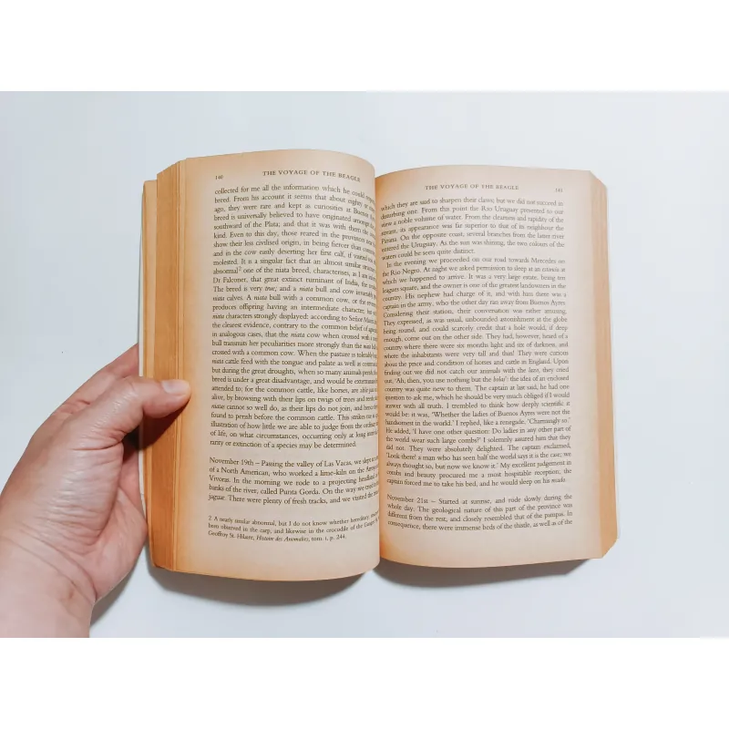 The Voyage Of The Beagle - Charles Darwin  752145