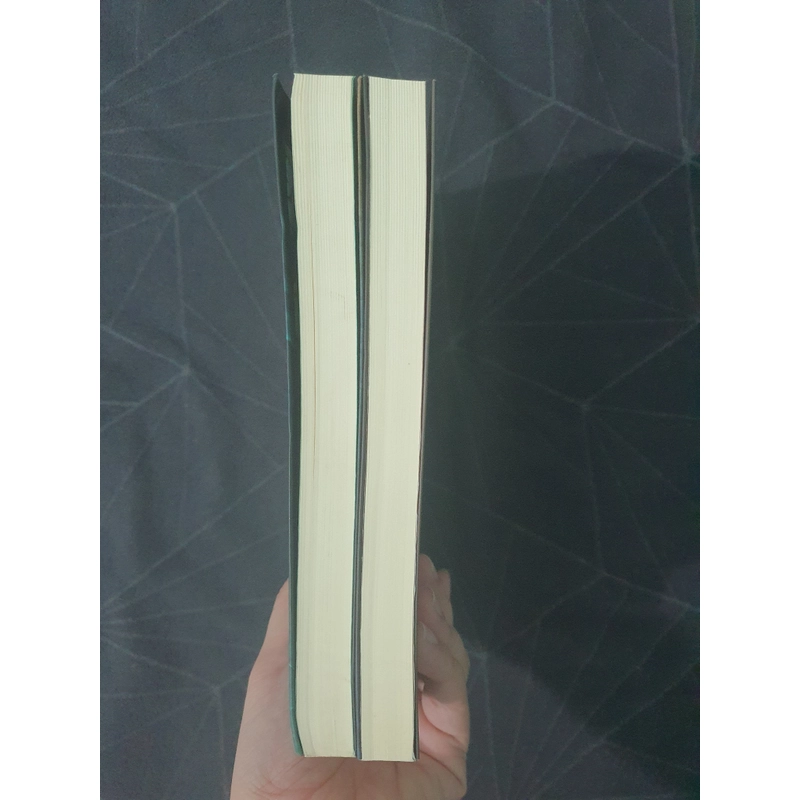 "19 năm mưu sát" - Na Da 475605