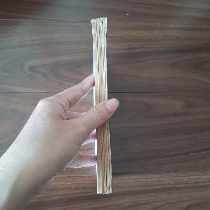 Đôi mắt lụa 732784