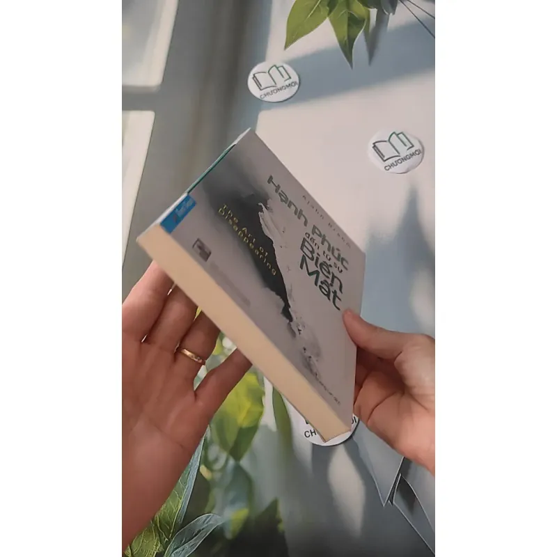 Hạnh Phúc Đến Từ Sự Biến Mất - Ajahn Brahm 961190