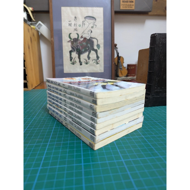 Truyện tranh người anh thất lạc - Mimi Tajima 533454