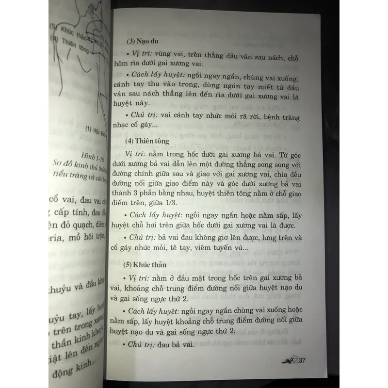 Massage trị bách bệnh bằng hình ảnh  723023