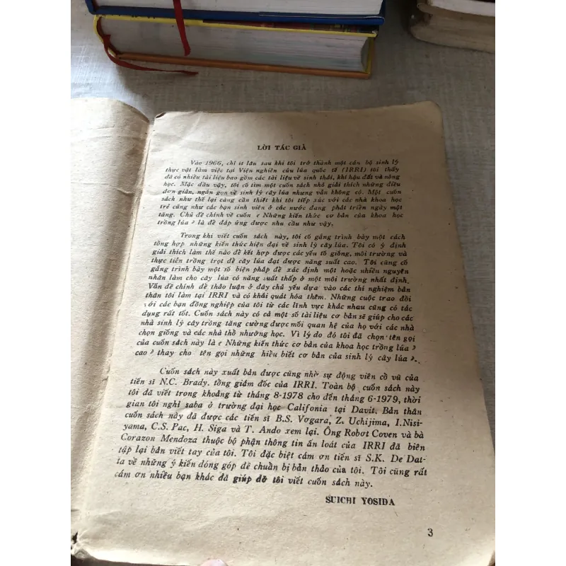 Những kiến thức cơ bản của khoa học trồng lúa 975867