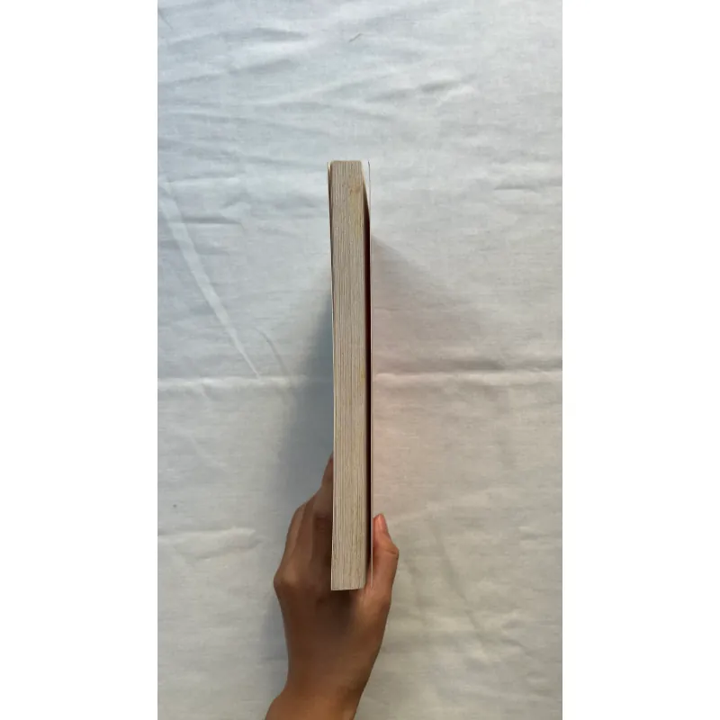 Riot days - Maria Alyokhina 789427