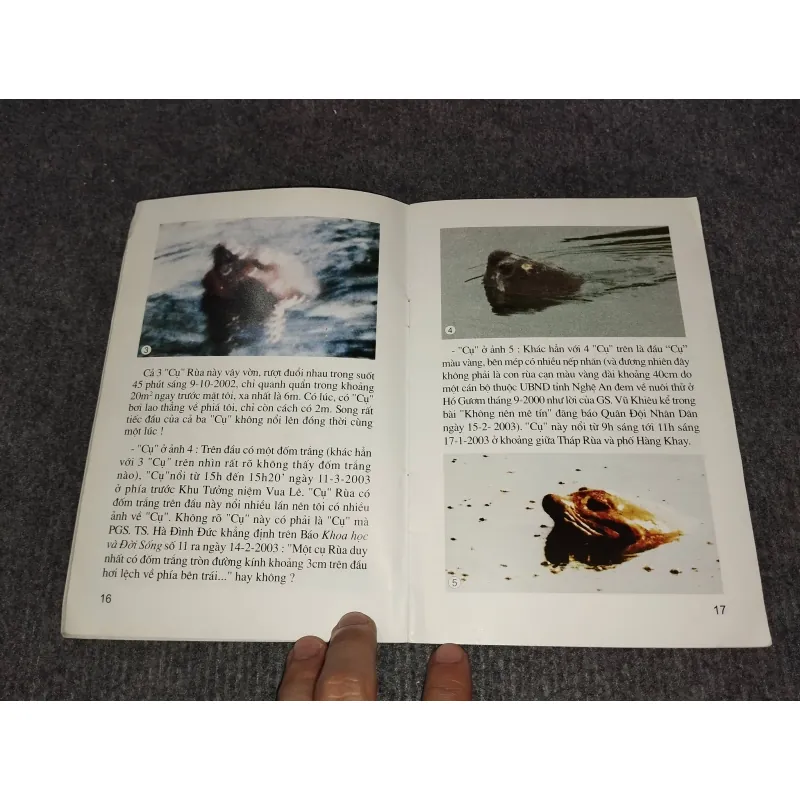 KỂ CHUYỆN VỀ RÙA Ở HỒ GƯƠM 993105