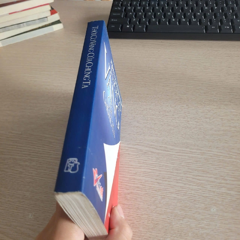 Thời Cơ Vàng Của Chúng Ta – Vương Hồng Tình 528380