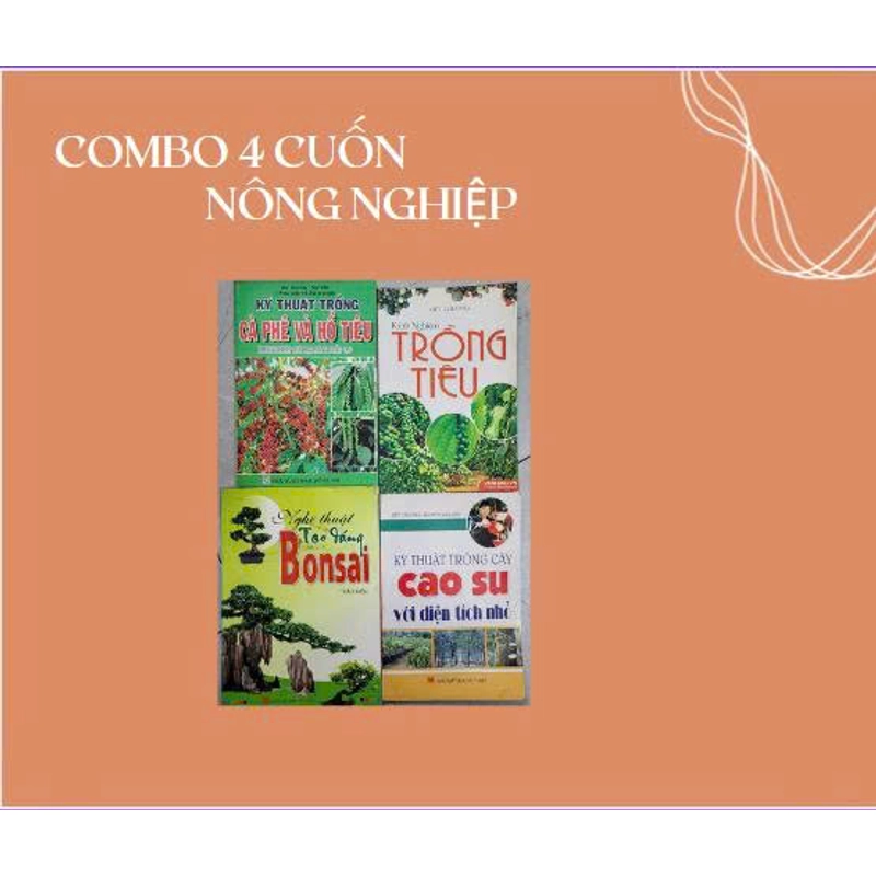 Kinh nghiệm trồng Tiêu + NT tạo dáng Bon sai+KT Trồng Cao Su 506707