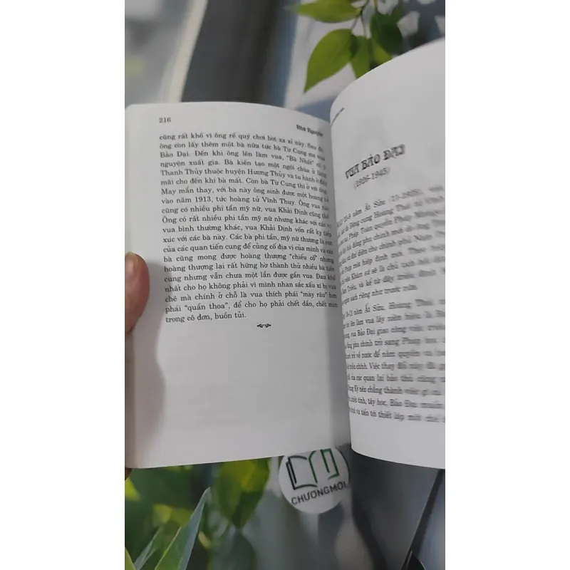 Nhà Nguyễn Chín Chúa Mười Ba Vua - Thi Long 970255