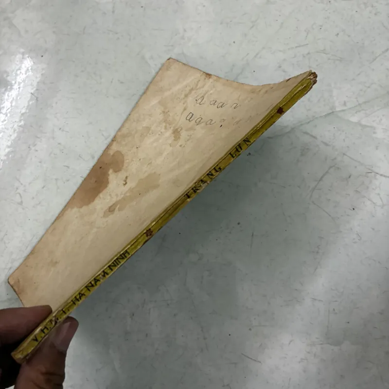 Trạng lợn - Kim Mã 1024574