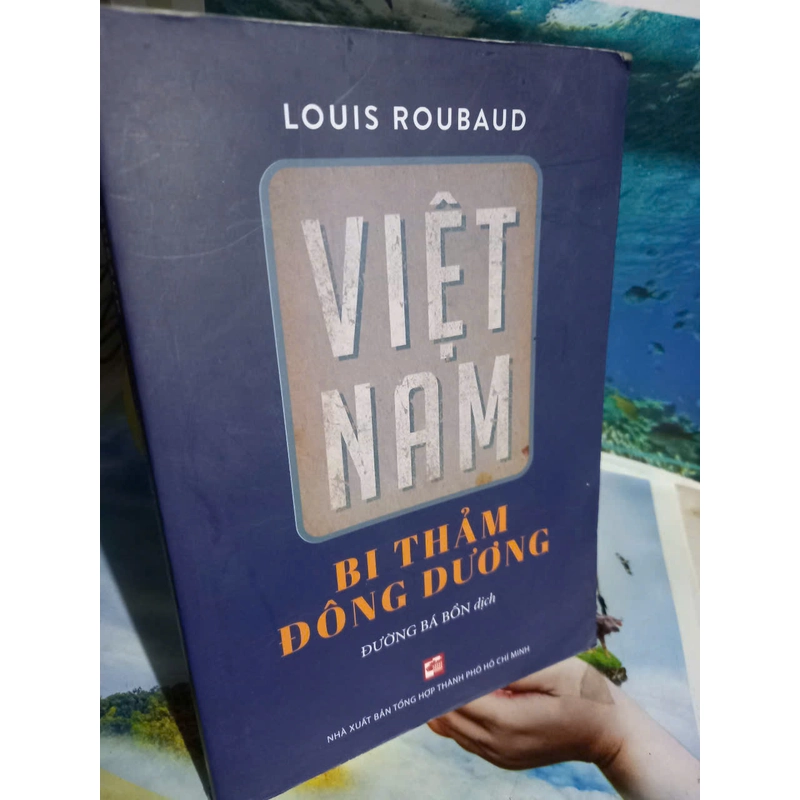 việt nam bi thảm đông dương 501599