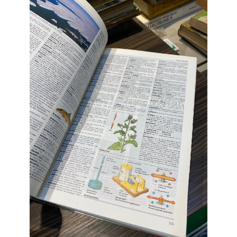 Le Petit Larousse Illustre 738431