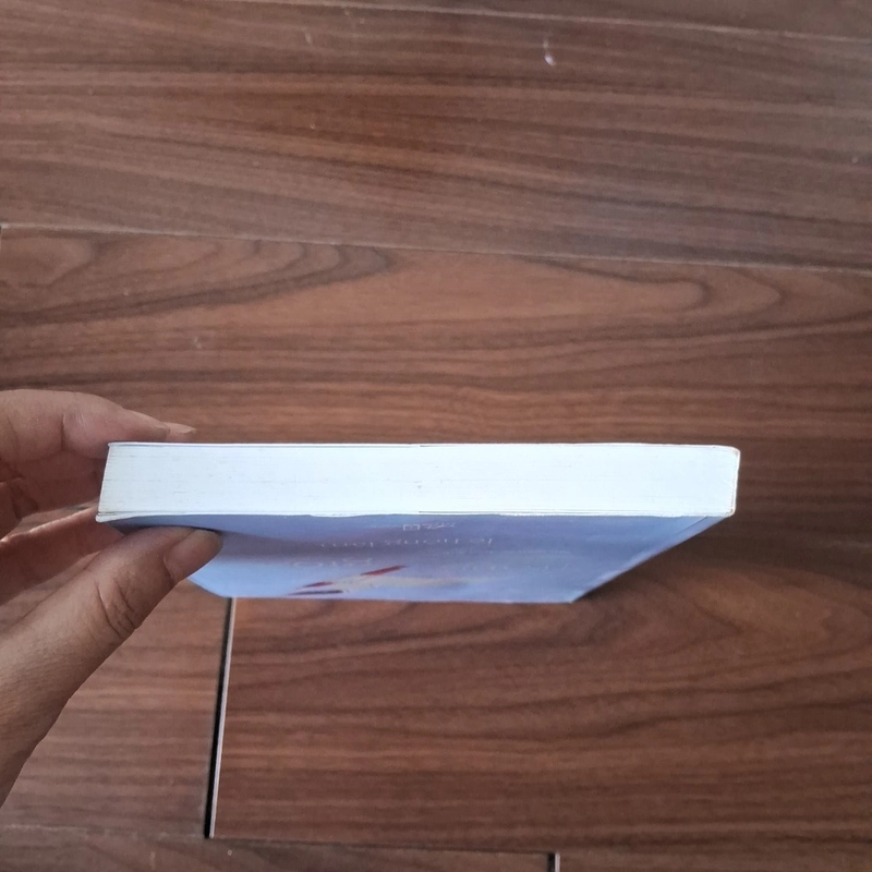 Cánh chim trong gió - tản mạn về điện ảnh - lê hồng lâm 523561