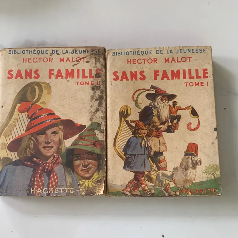 SANS FAMILLE, HECTOR MALOT, Tome 1-2, Không gia đình 715260