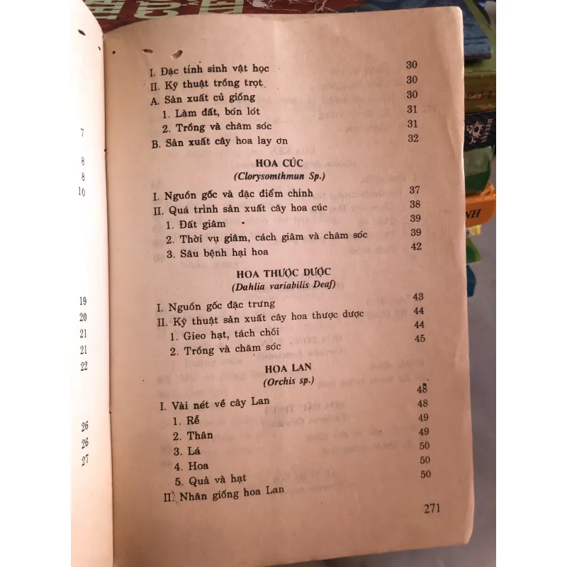 Trồng hoa cây cảnh trong gia đình - Nguyễn Huy Trí - Đoàn Văn Lư 1001807