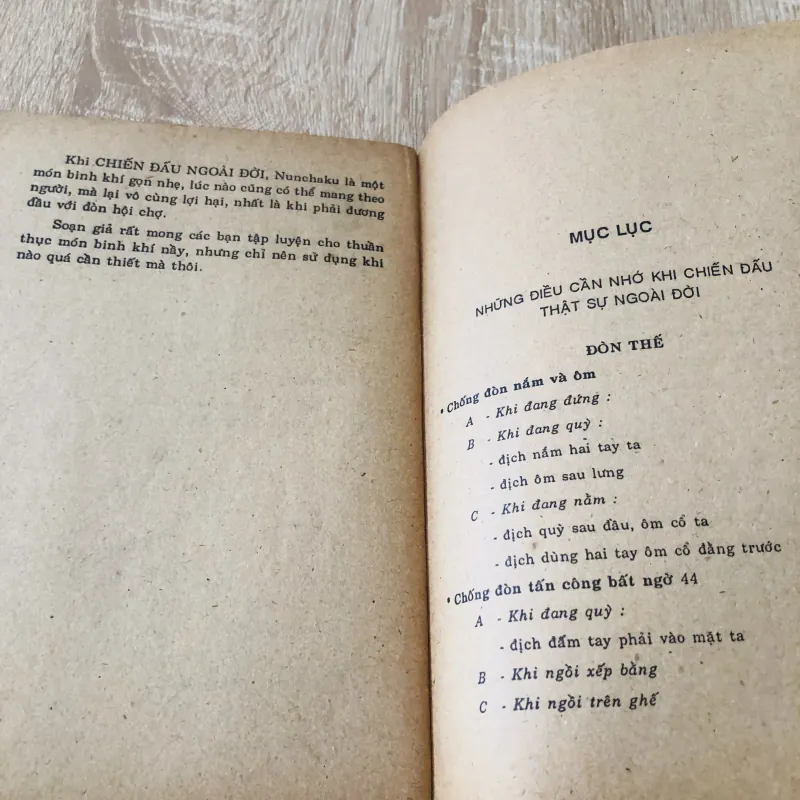 THÁI CỰC ĐẠO CHIẾN ĐẤU 1010987