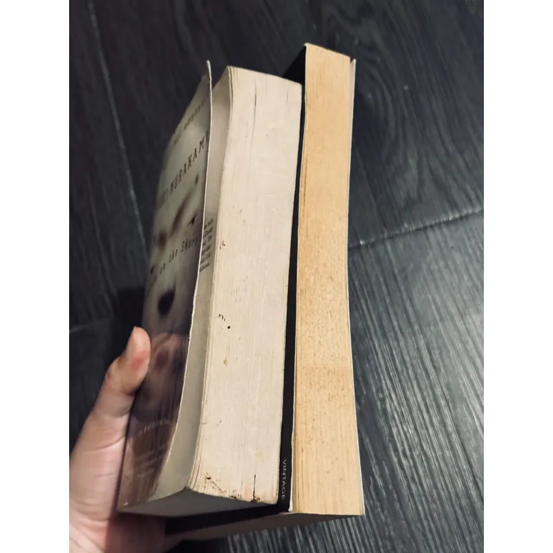 Combo 2 cuốn Haruki Murakami 590329