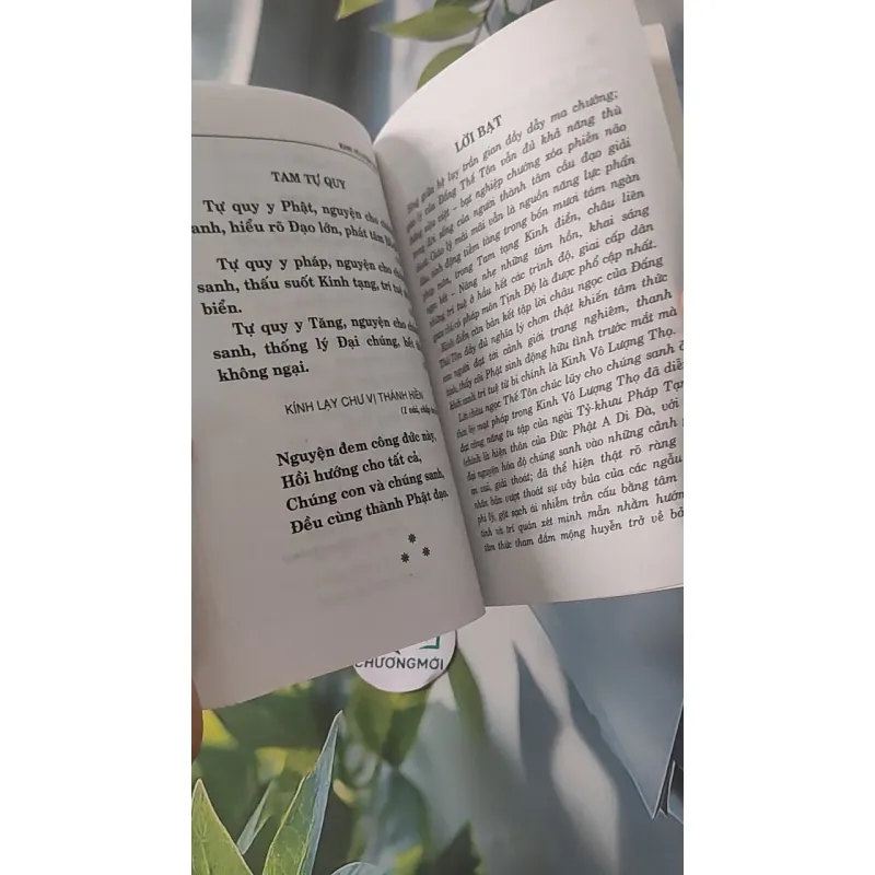 Kinh Vô Lượng Thọ - Thích Tuệ Đăng (Dịch) 928502