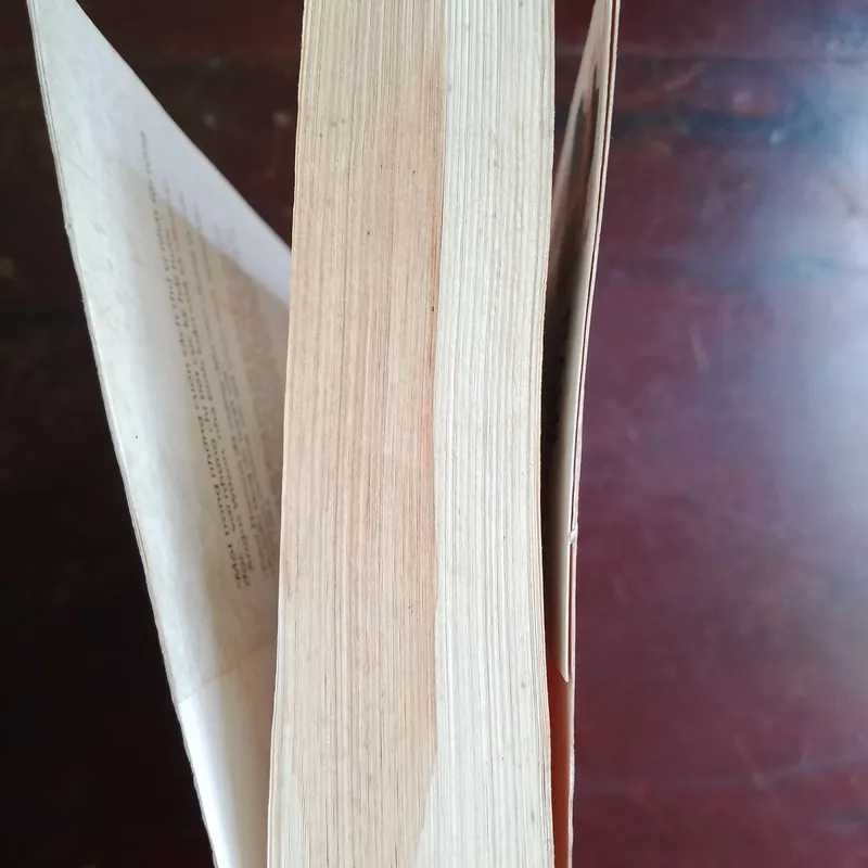 Phương đông lướt ngoài cửa sổ  720971