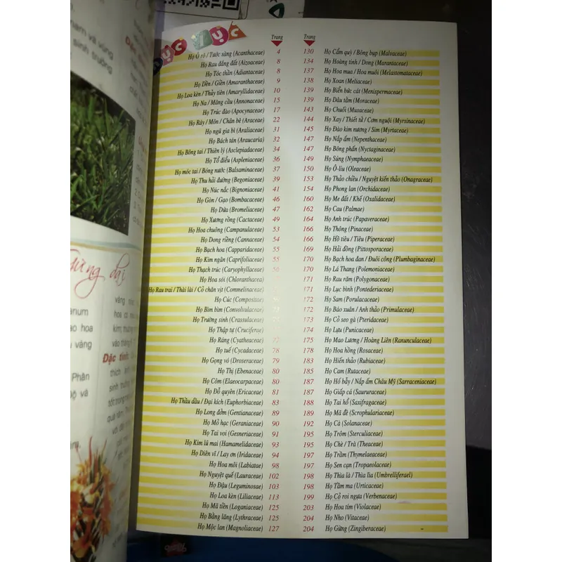 365 loài hoa cảnh  732810