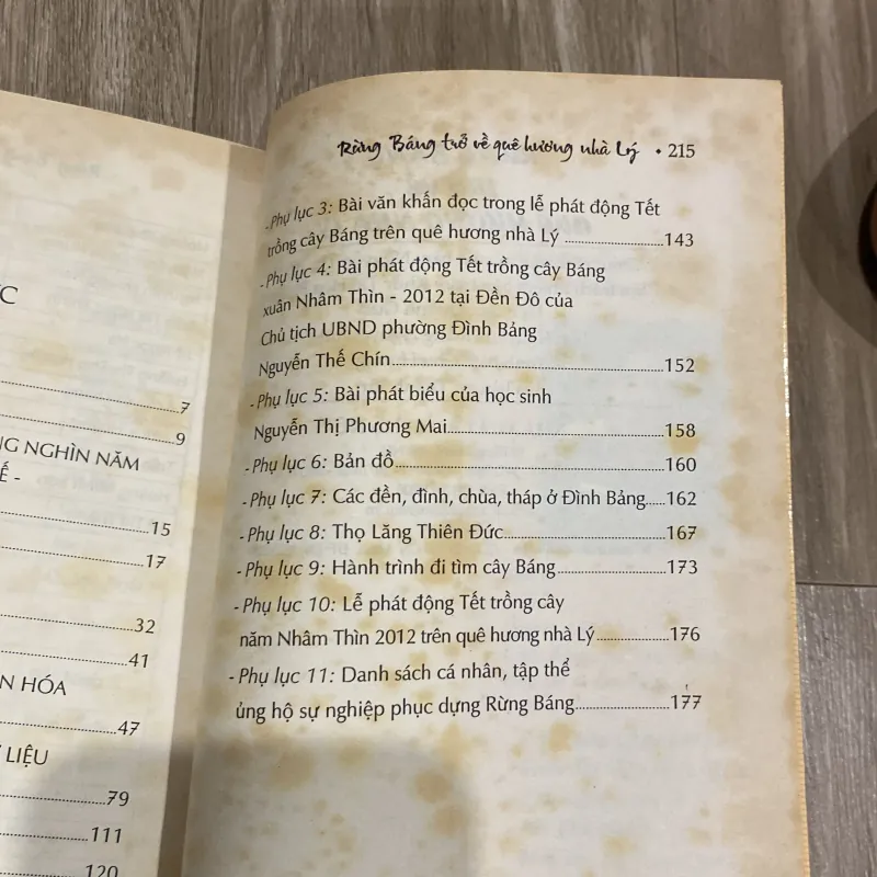 RỪNG BÁNG - TRỞ VỀ QUÊ HƯƠNG NHÀ LÝ (XB 2003) 1025418