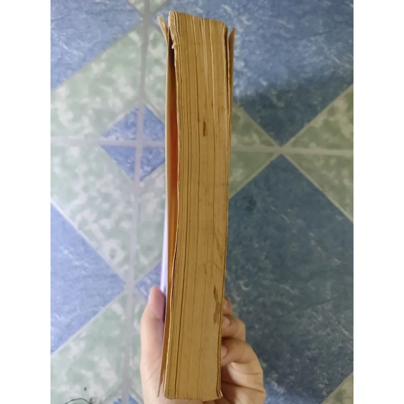 Phương Đình tùy bút lục - Nguyễn Văn Siêu 746664