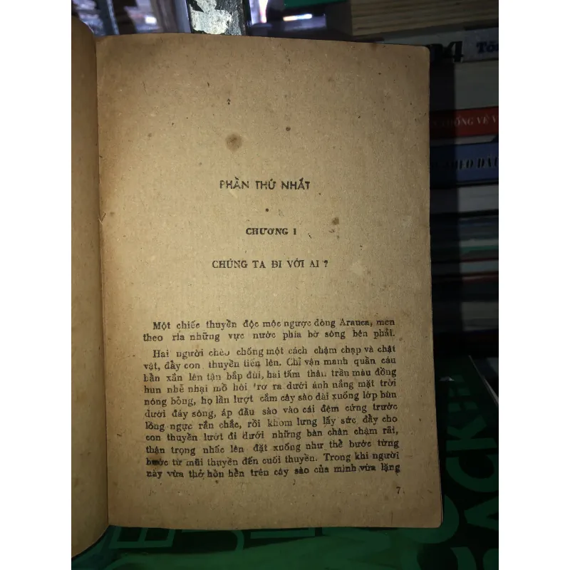 Donha Bacbara - Romulo Gadegox 787602