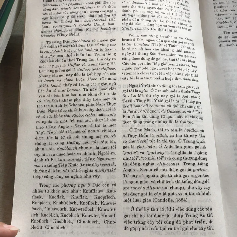 Tỏi-Khoa học và tác dụng chữa bệnh 993327