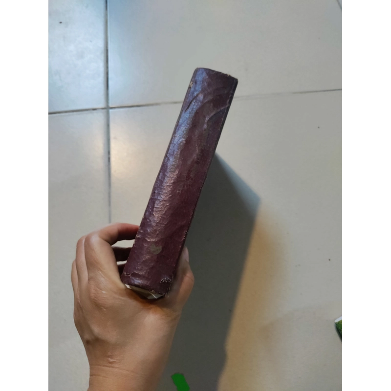 Danh từ đối chiếu tên các loài cá có giá trị kinh tế ở miền tây thái bình dương  477157