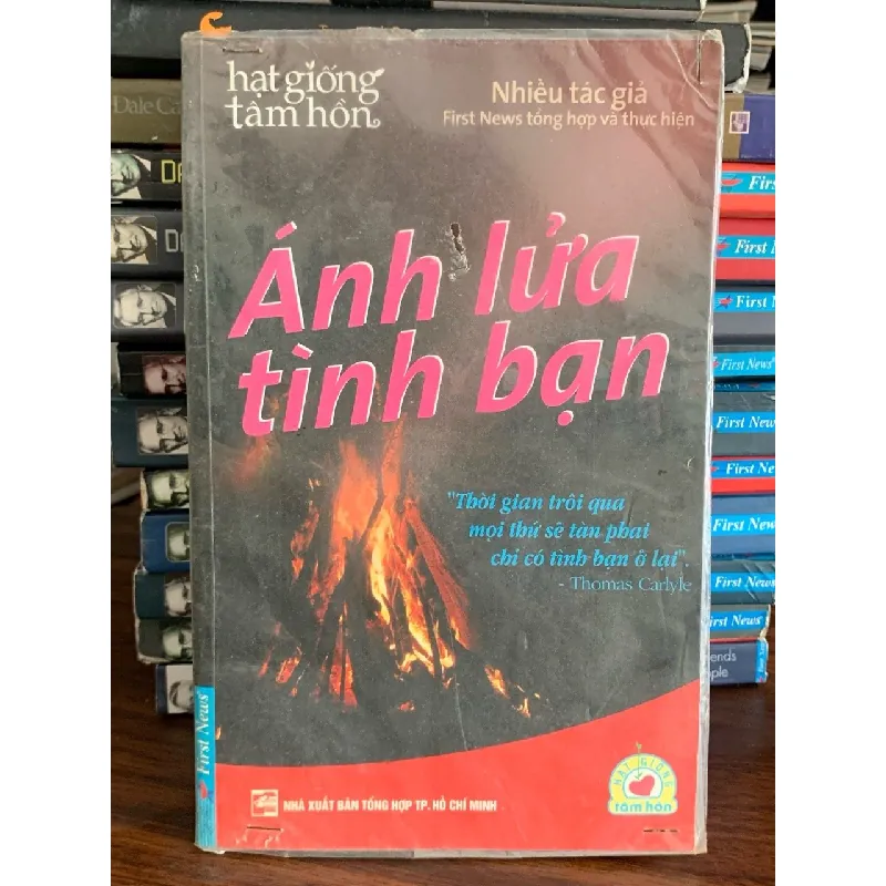 Ánh lửa tình bạn (hạt giống tâm hồn)- Nhiều tác giả 702145