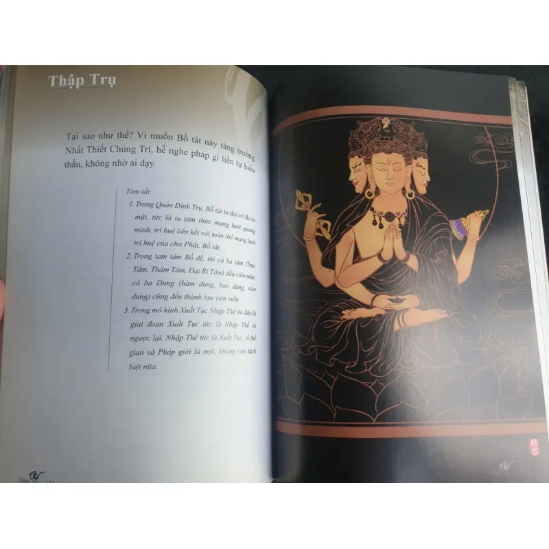 Kinh Hoa Nghiêm Phẩm Thập Trụ - Chính Văn và Lược Giải - Thầy Hằng Trường mới 90% 698198