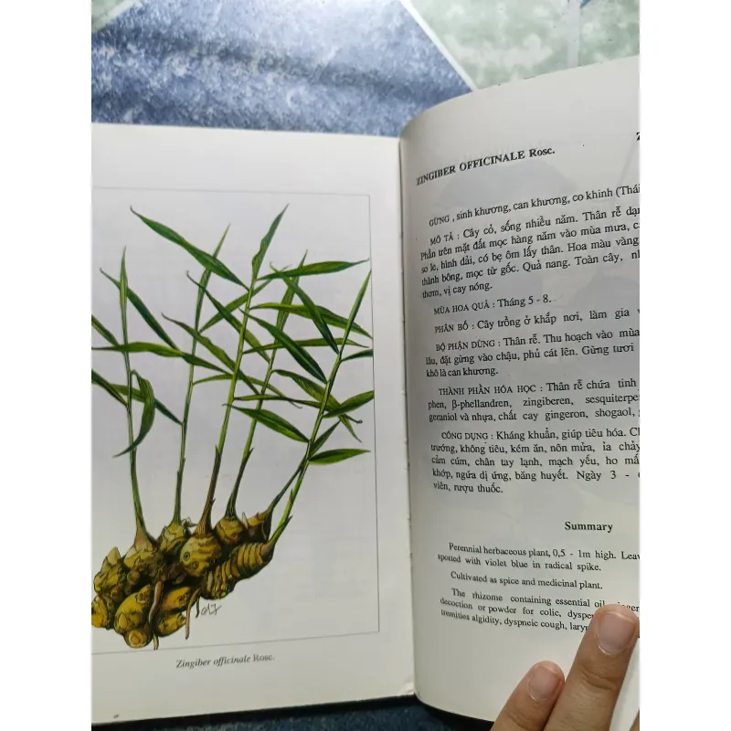 Cây thuốc Việt Nam - Viện dược liệu 1006248